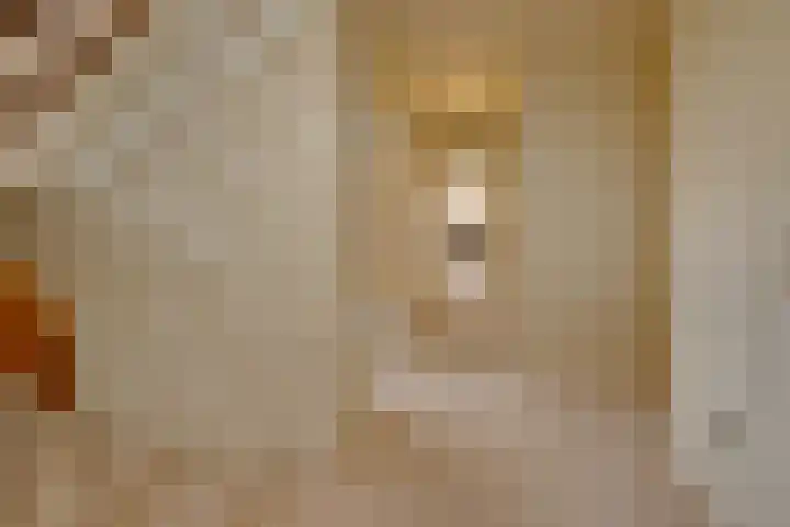 Havenweg 88 Buchten thumbnail 21