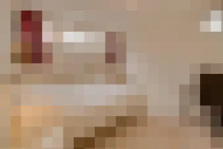 Havenweg 88 Buchten thumbnail 26
