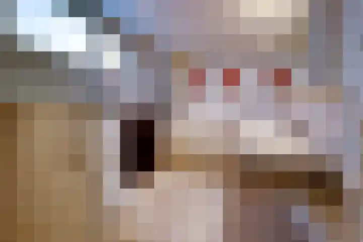 Havenweg 88 Buchten thumbnail 28