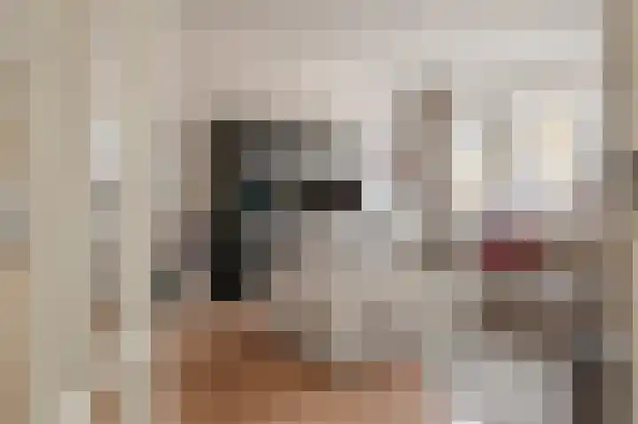 Havenweg 88 Buchten thumbnail 35