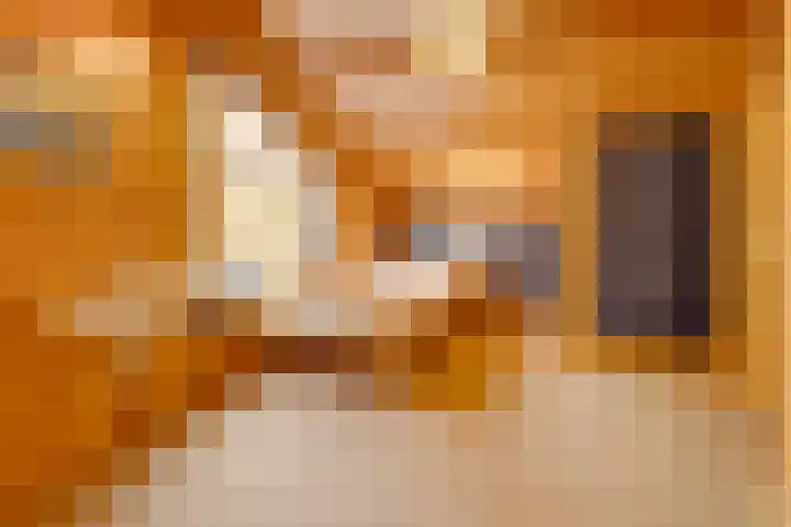 Havenweg 88 Buchten thumbnail 37