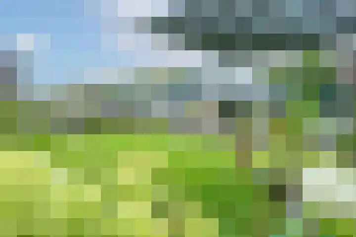 Havenweg 88 Buchten thumbnail 42