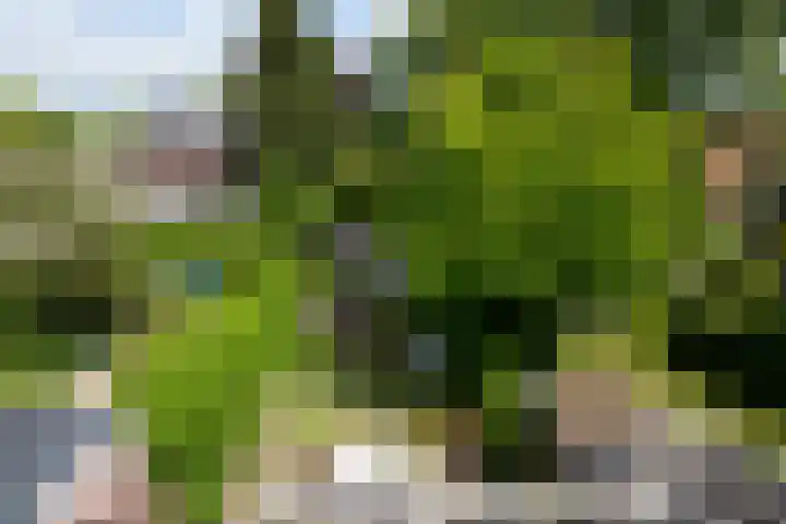 Havenweg 88 Buchten thumbnail 45