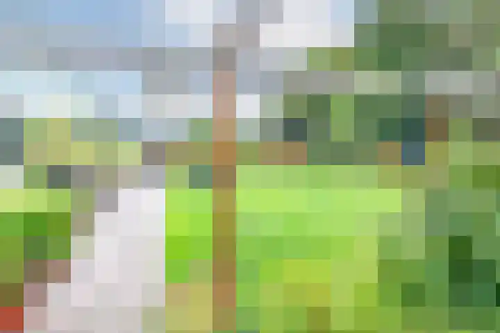 Havenweg 88 Buchten thumbnail 47