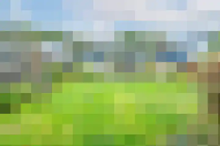 Havenweg 88 Buchten thumbnail 5