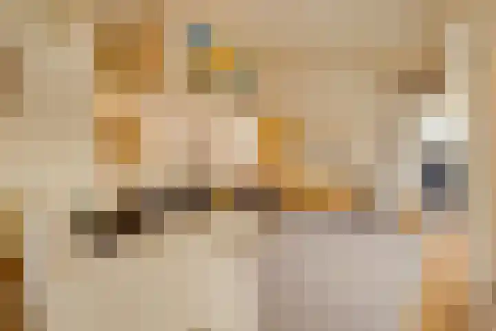 Havenweg 88 Buchten thumbnail 9