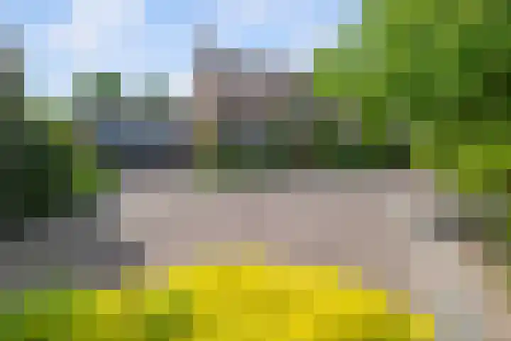 Havenweg 9 b Klaaswaal thumbnail 12
