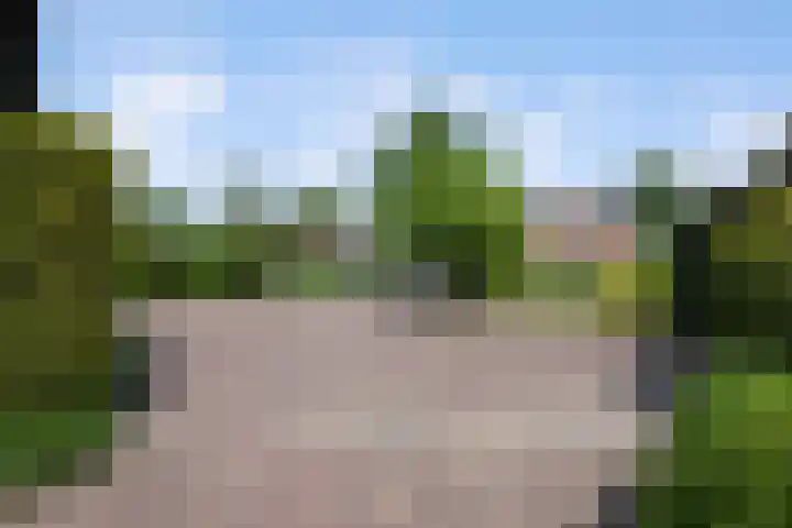 Havenweg 9 b Klaaswaal thumbnail 15