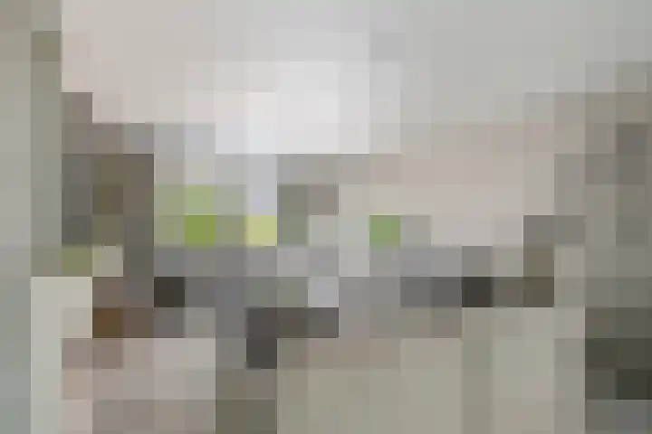 Havenweg 9 b Klaaswaal thumbnail 22