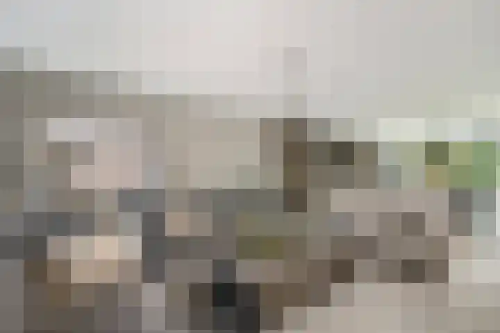 Havenweg 9 b Klaaswaal thumbnail 24