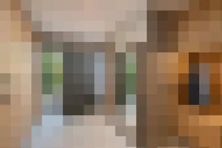 Havenweg 9 b Klaaswaal thumbnail 36