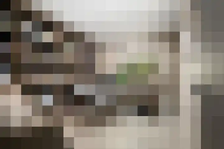 Havenweg 9 b Klaaswaal thumbnail 38