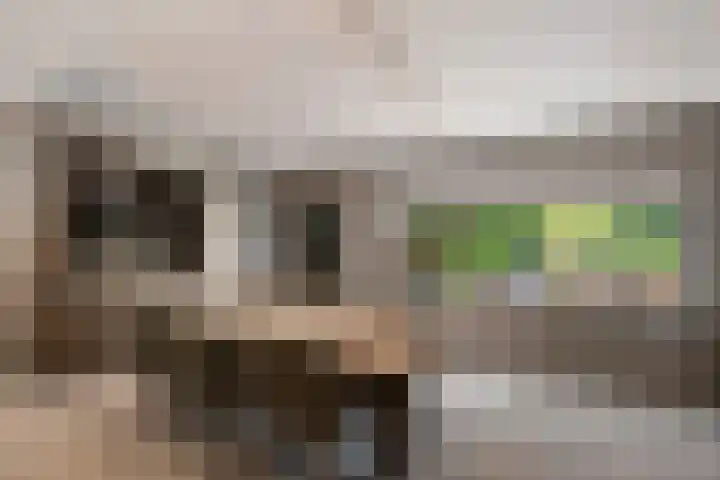 Havenweg 9 b Klaaswaal thumbnail 40