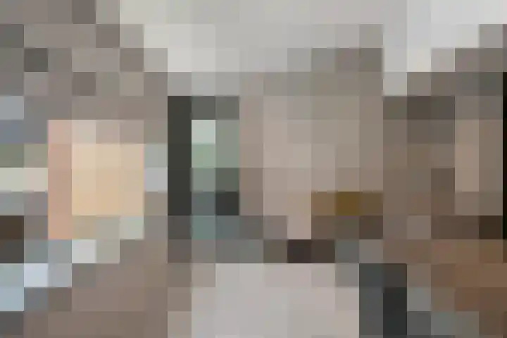 Havenweg 9 b Klaaswaal thumbnail 41