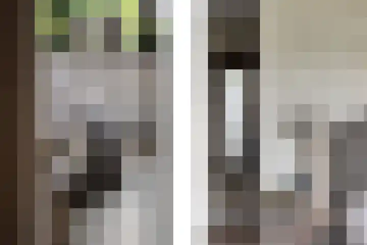 Havenweg 9 b Klaaswaal thumbnail 42