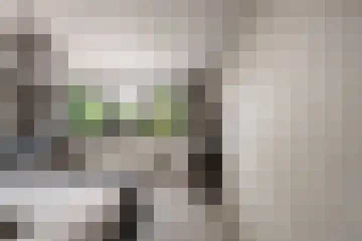 Havenweg 9 b Klaaswaal thumbnail 43