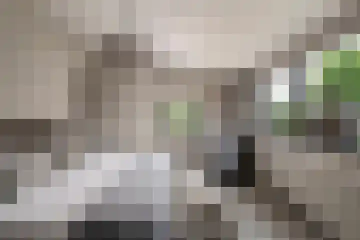 Havenweg 9 b Klaaswaal thumbnail 44