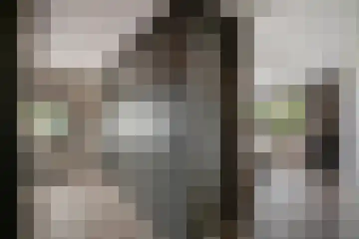 Havenweg 9 b Klaaswaal thumbnail 46