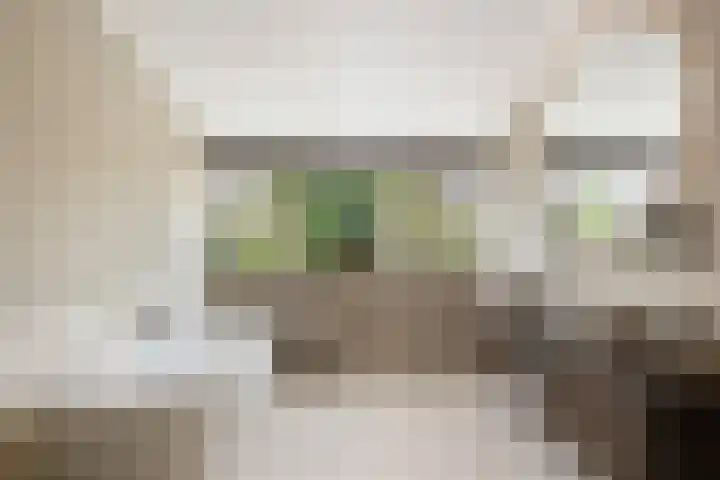 Havenweg 9 b Klaaswaal thumbnail 47
