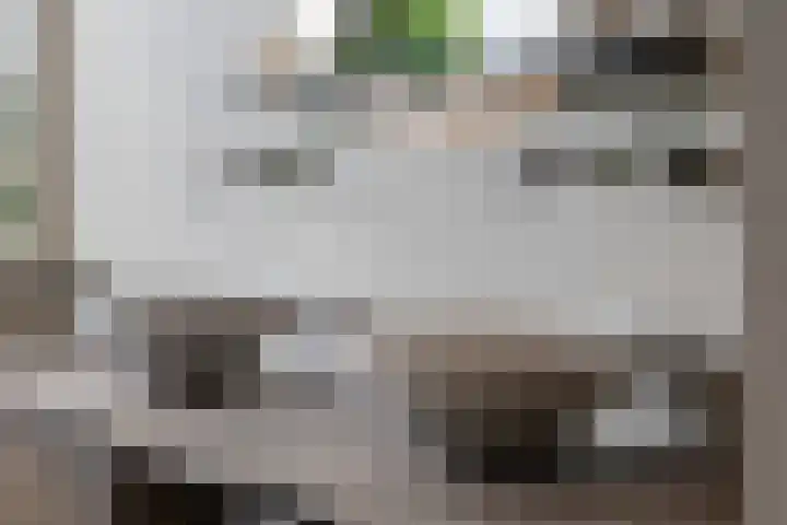 Havenweg 9 b Klaaswaal thumbnail 50