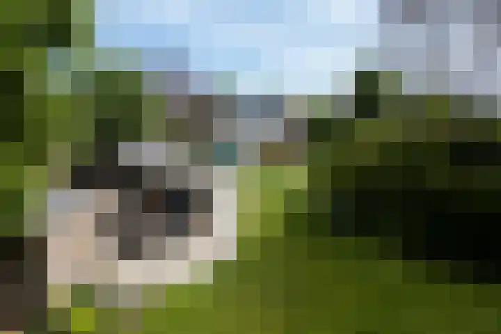 Havenweg 9 b Klaaswaal thumbnail 6