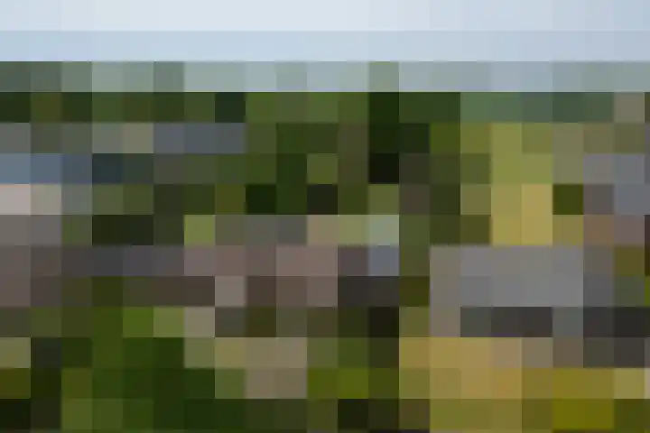 Havenweg 9 b Klaaswaal thumbnail 7