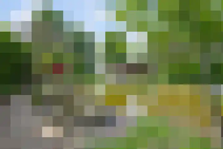 Havenweg 9 b Klaaswaal thumbnail 72