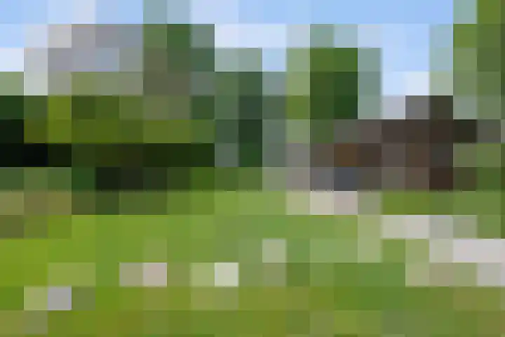Havenweg 9 b Klaaswaal thumbnail 73