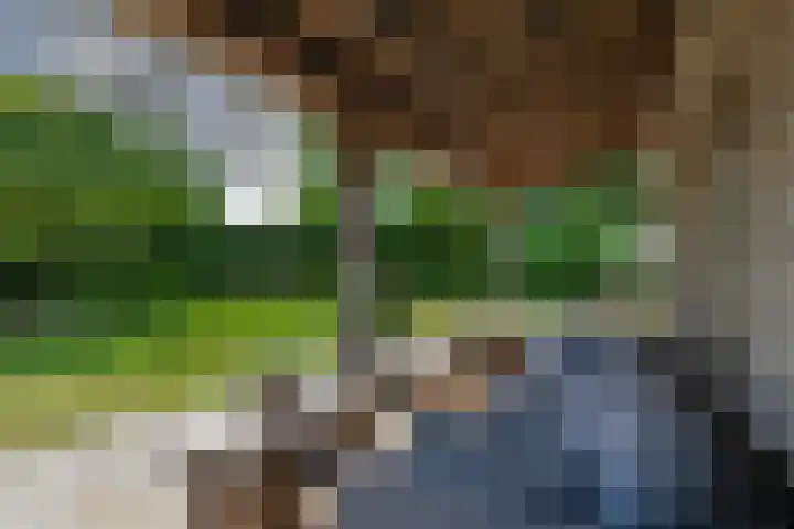 Havenweg 9 b Klaaswaal thumbnail 75