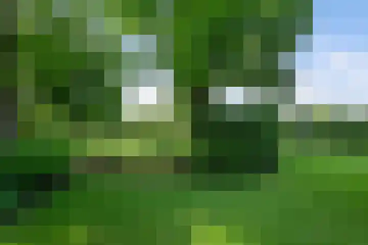Havenweg 9 b Klaaswaal thumbnail 81
