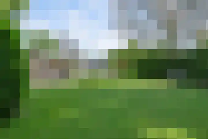 Havenweg 9 b Klaaswaal thumbnail 83