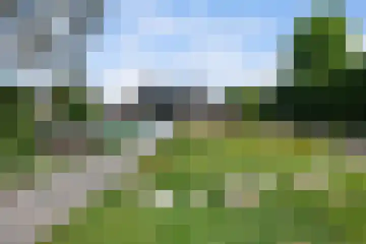 Havenweg 9 b Klaaswaal thumbnail 86