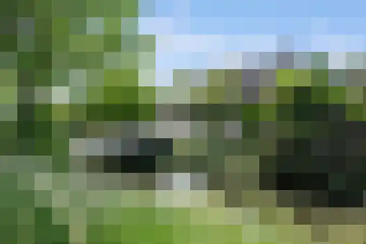 Havenweg 9 b Klaaswaal thumbnail 9