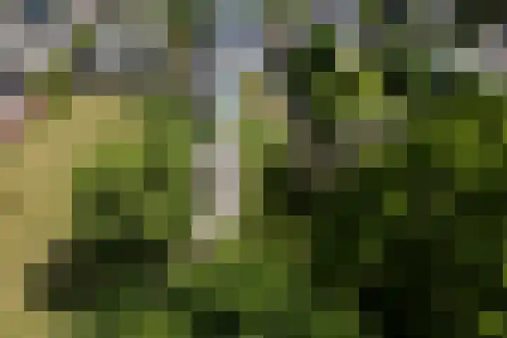 Havenweg 9 b Klaaswaal thumbnail 94