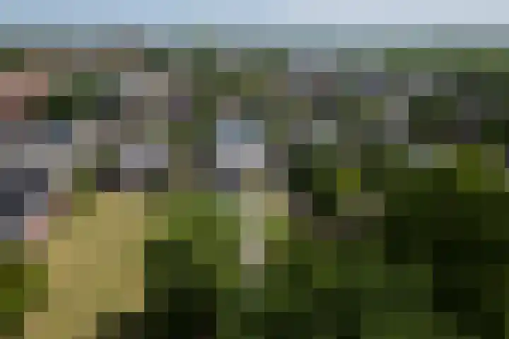 Havenweg 9 b Klaaswaal thumbnail 95