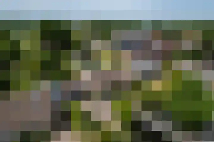 Havenweg 9 b Klaaswaal thumbnail 98