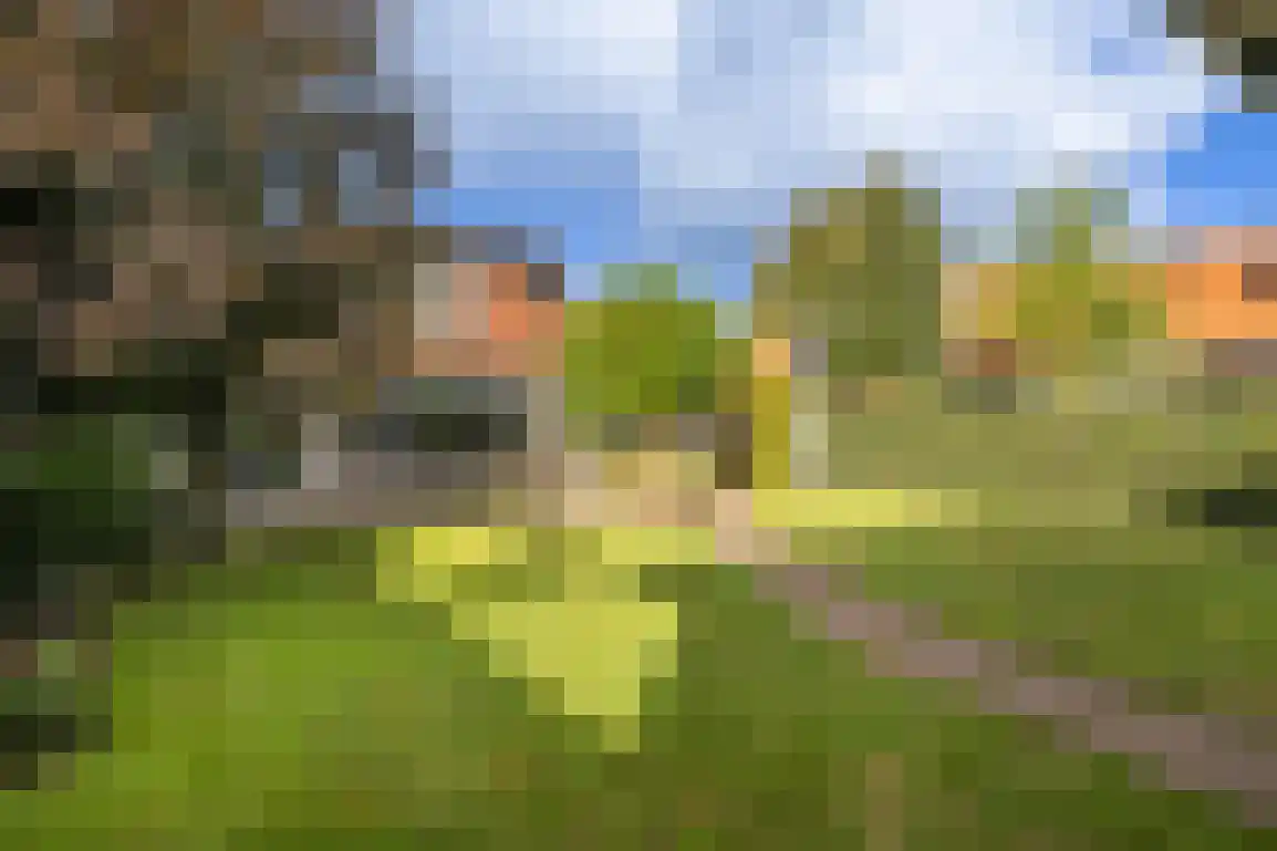 Havenweg 9 Ouddorp thumbnail 43
