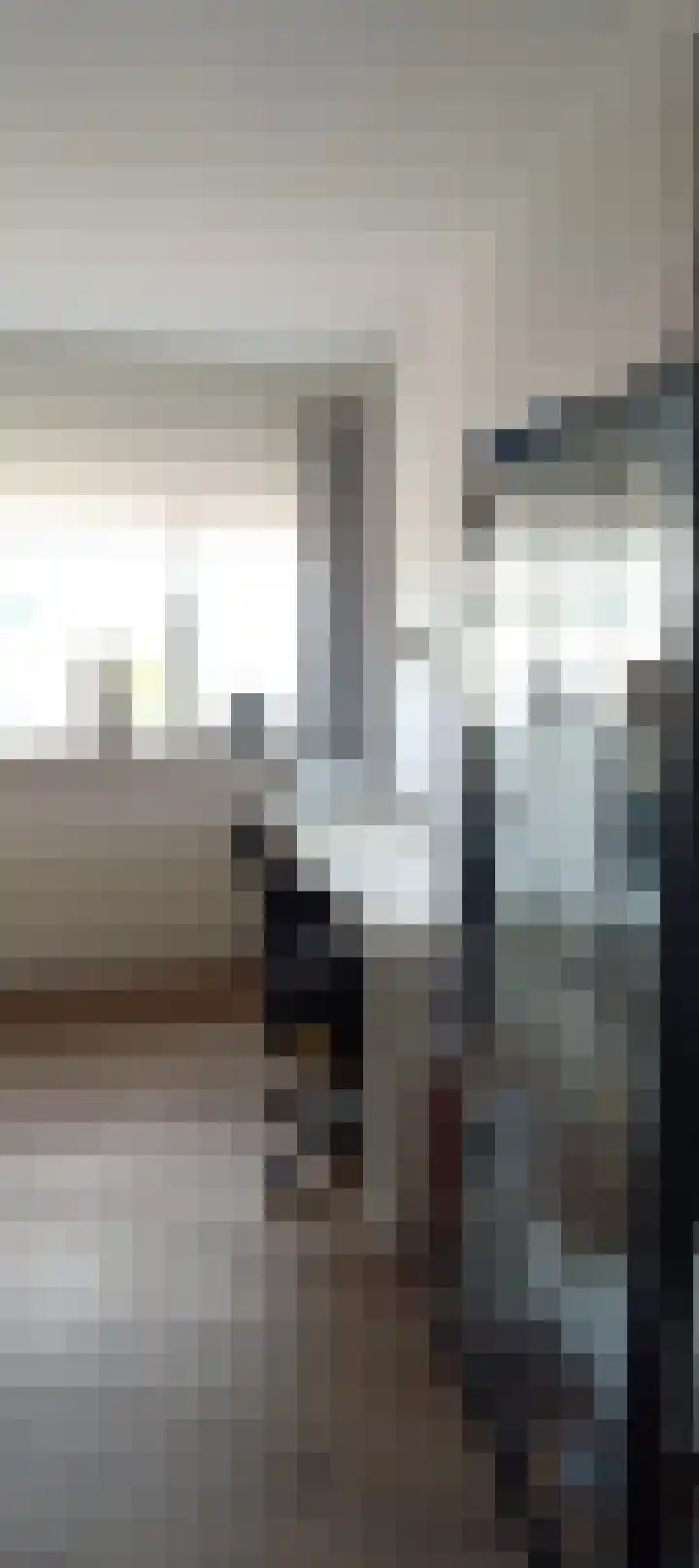 Havenzicht 10 Maasbracht thumbnail 20