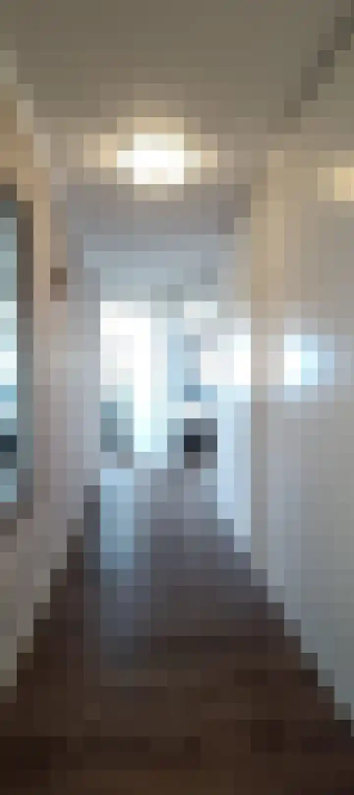 Havenzicht 10 Maasbracht thumbnail 22