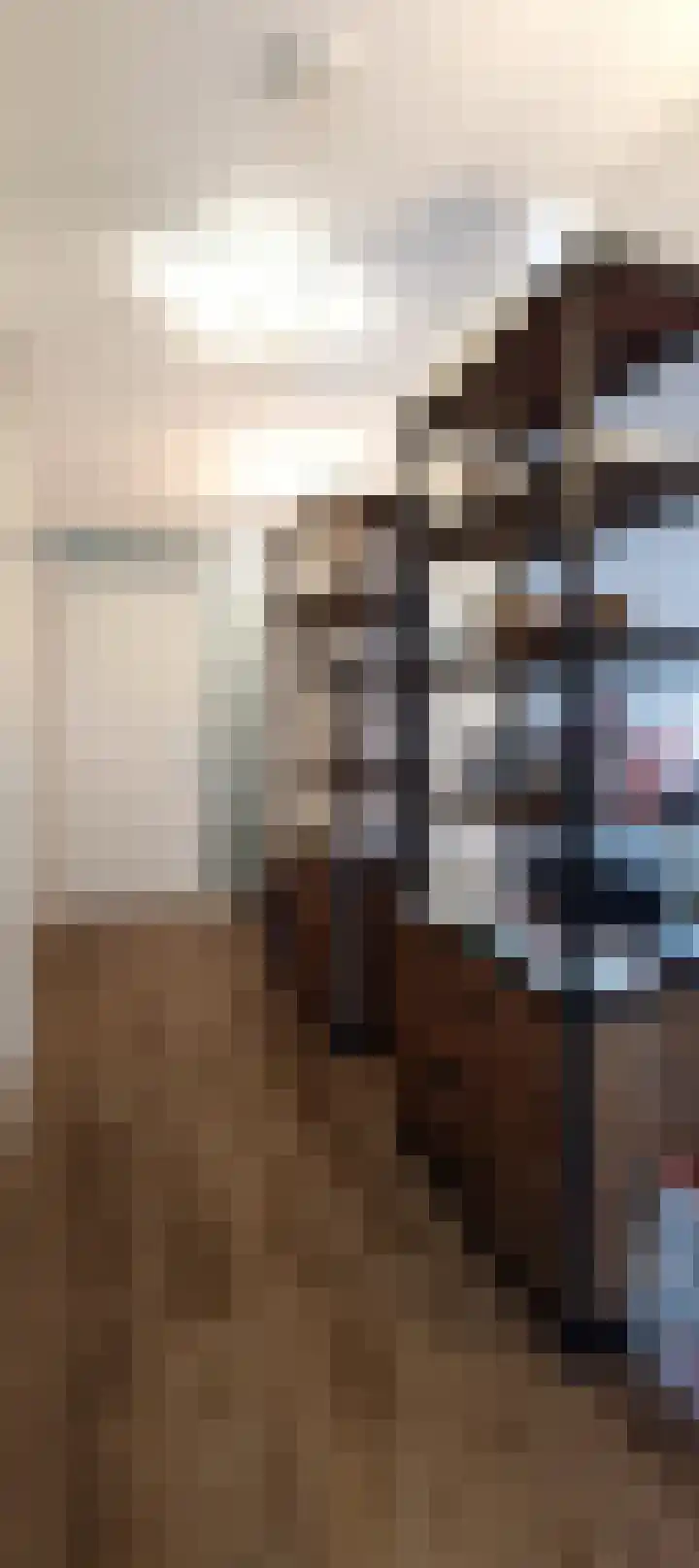 Havenzicht 10 Maasbracht thumbnail 30