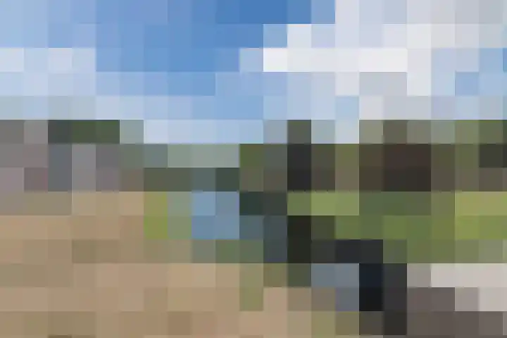 Havenzicht 48 Almere thumbnail 31