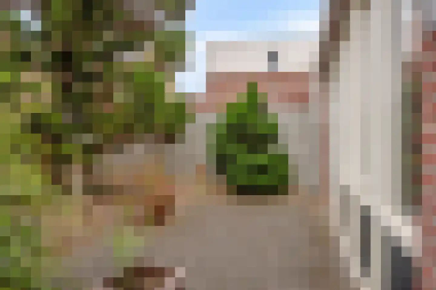 Havenzicht 8 Stein thumbnail 20