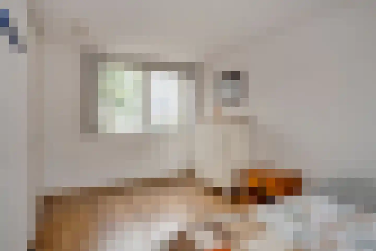 Havenzicht 8 Stein thumbnail 27
