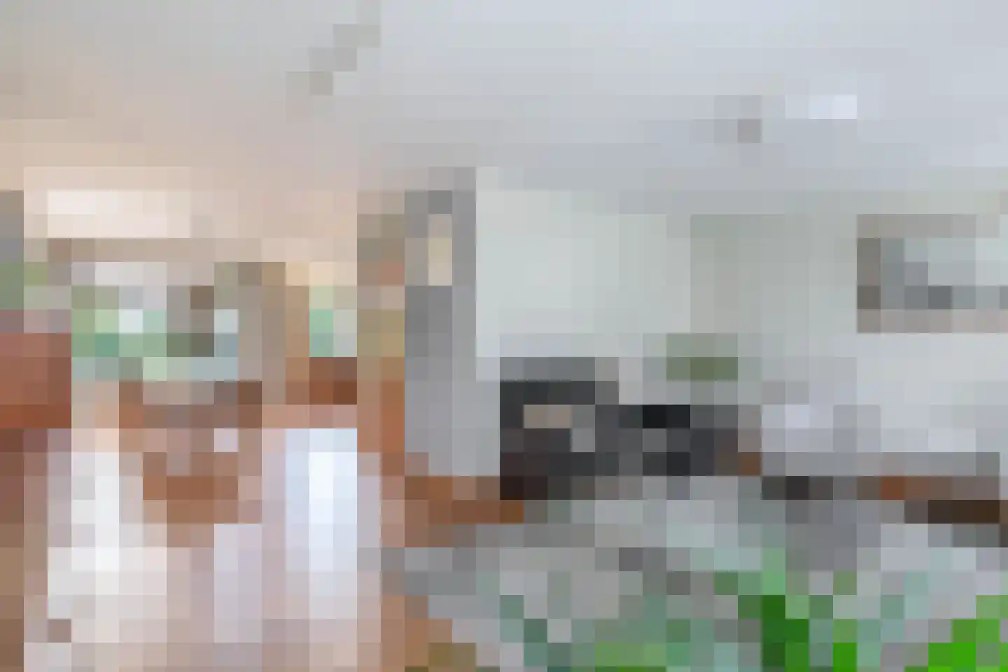 Haver 21 Eersel thumbnail 12