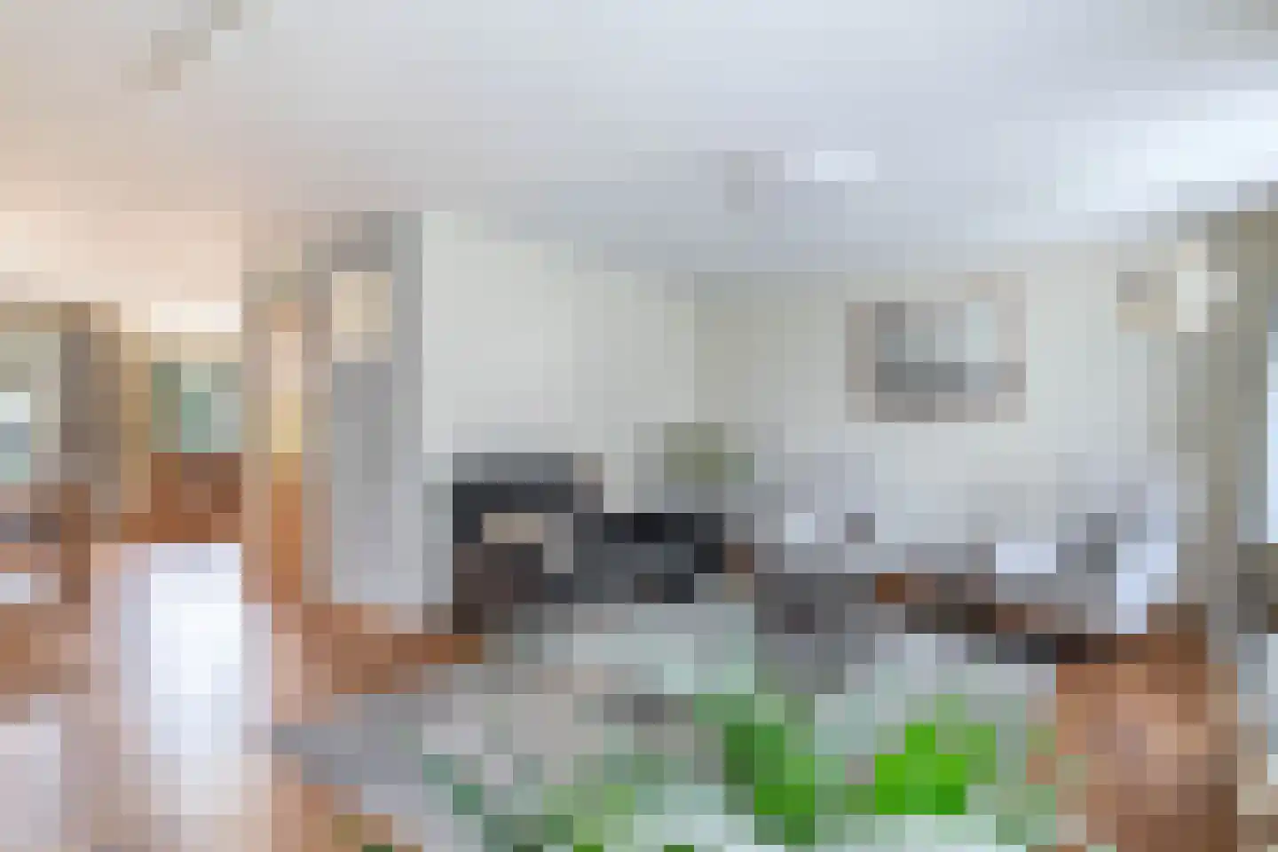 Haver 21 Eersel thumbnail 13