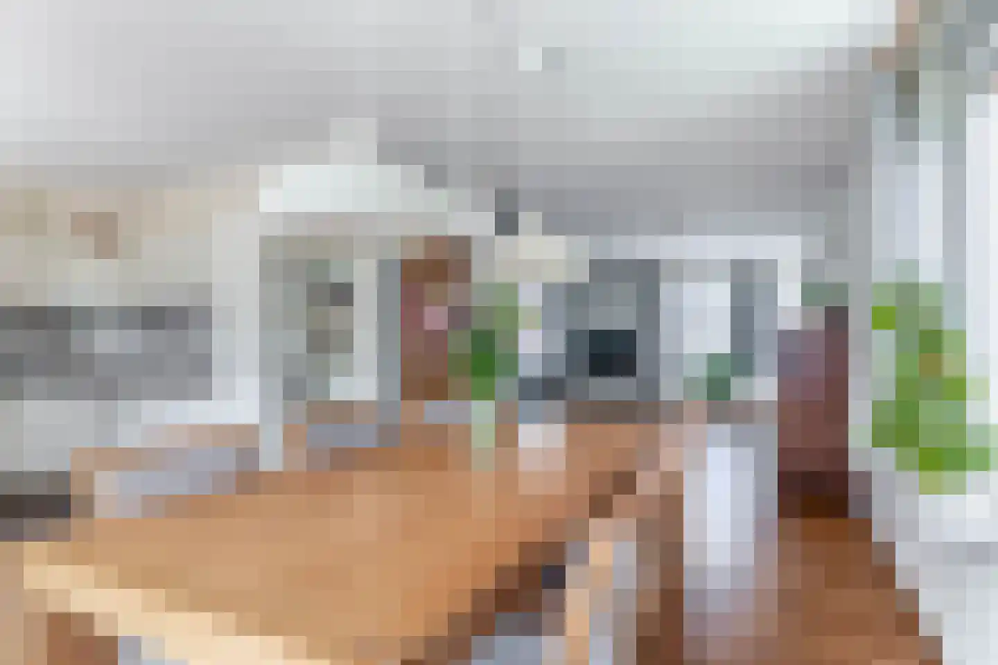 Haver 21 Eersel thumbnail 14