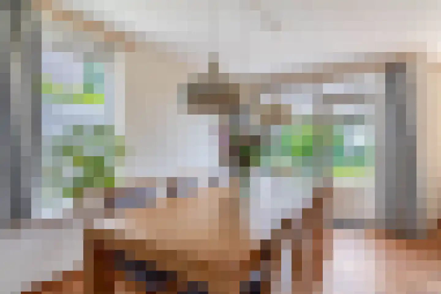 Haver 21 Eersel thumbnail 15