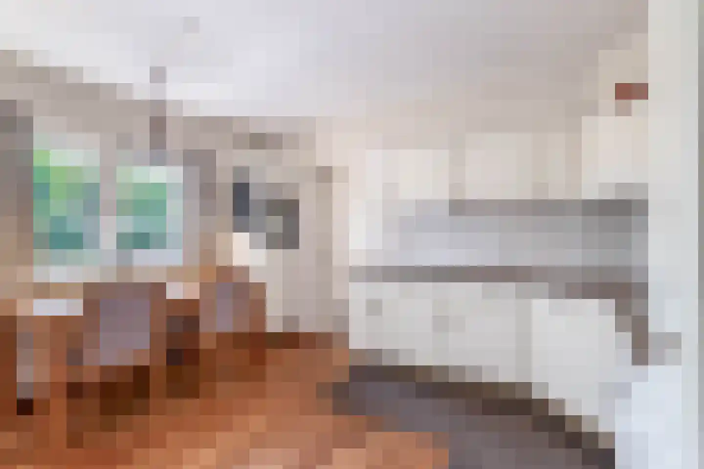 Haver 21 Eersel thumbnail 16