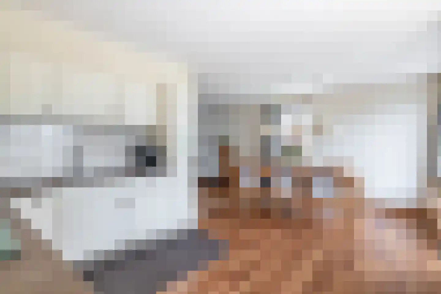 Haver 21 Eersel thumbnail 18