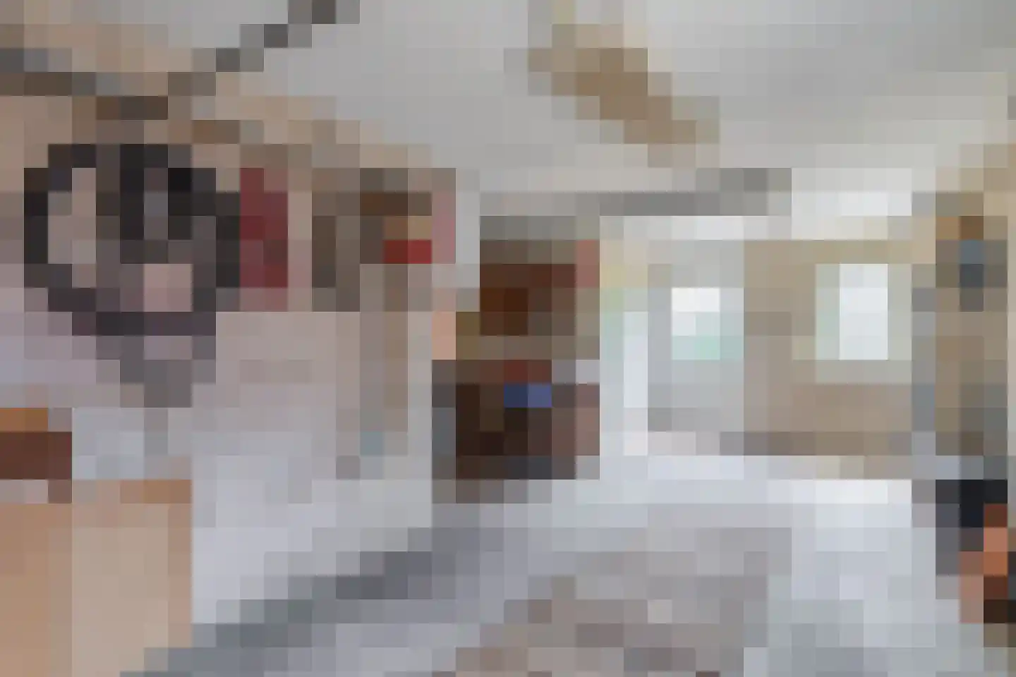 Haver 21 Eersel thumbnail 21